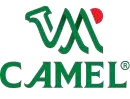 camel